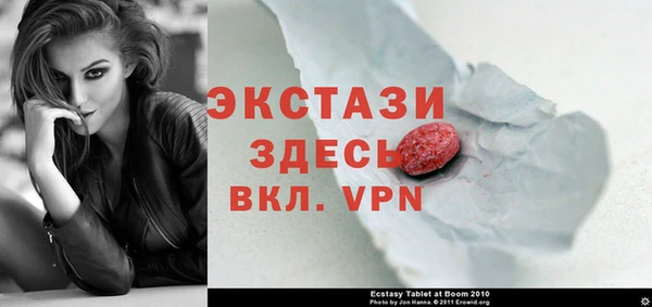 гидра Михайловка