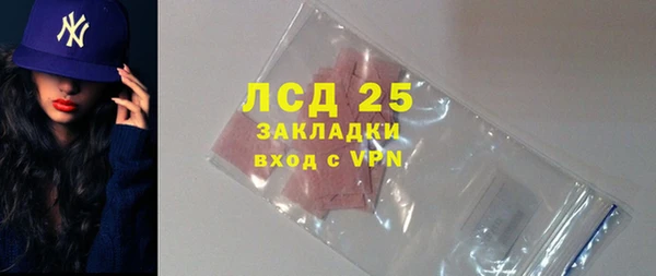 гидра Михайловка