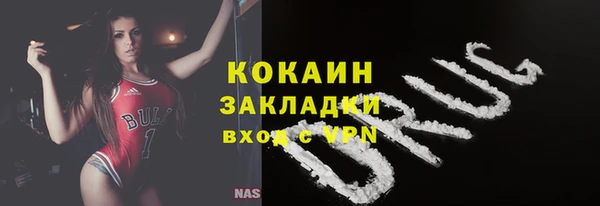 гидра Михайловка