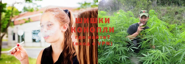 гидра Михайловка