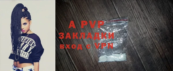 гидра Михайловка