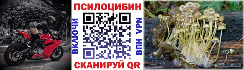 Купить где  Котово  Псилоцибиновые грибы MAGIC MUSHROOMS 